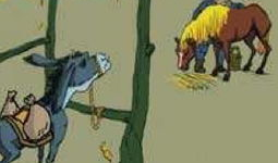 马和驴视频,一场跨物种的和谐互动